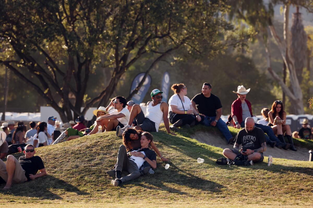 A loose crowd of people relax while sitting on a hill of grass beneath trees.