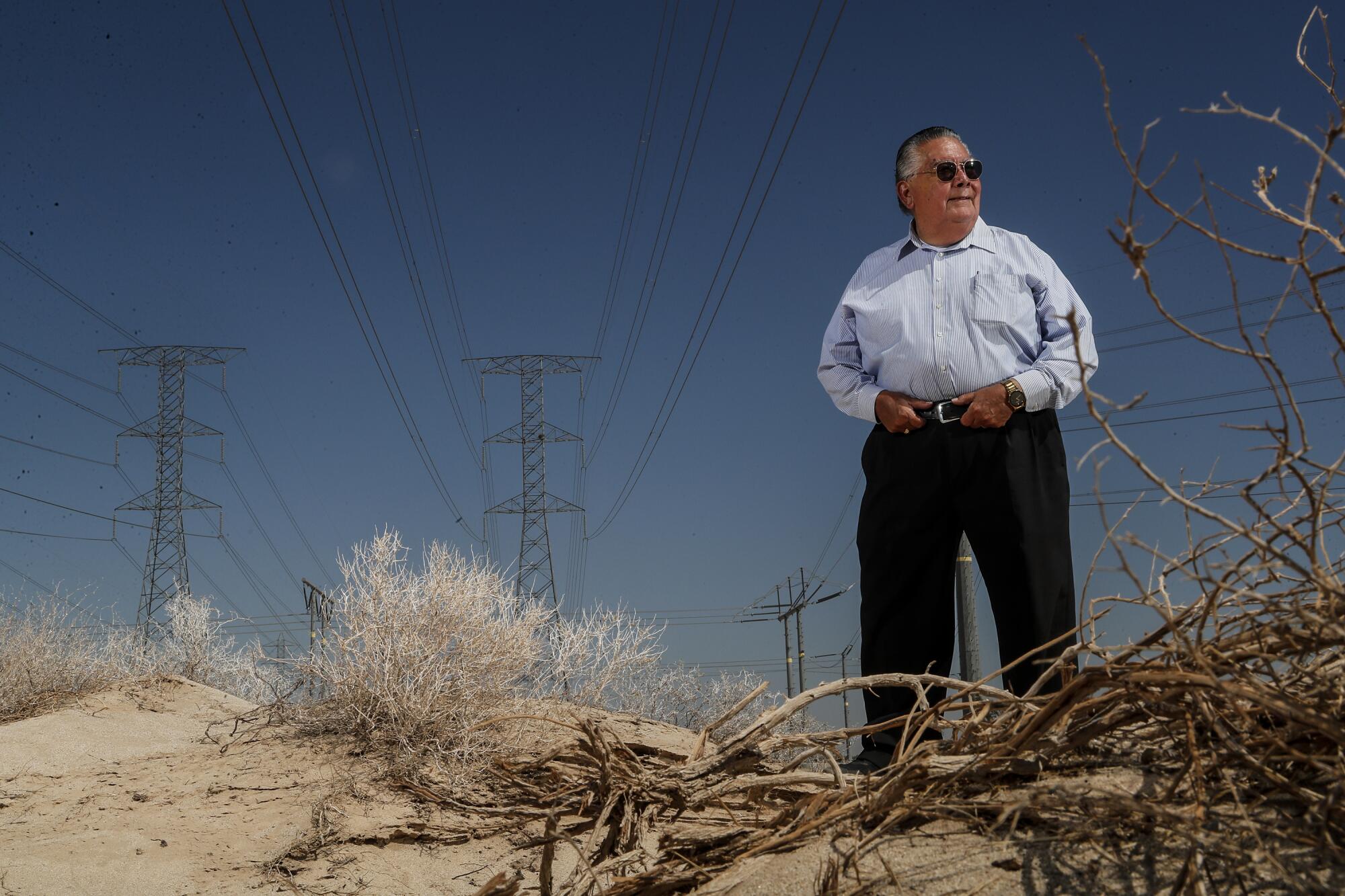 Then-Imperial County Supervisor Ray Castillo stands beneath transmission lines.