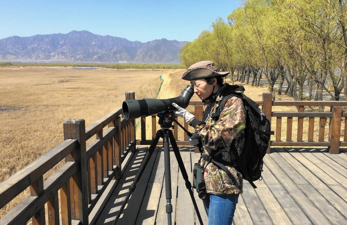 Conservationist Li Qingxin, at the Yeyahu Nature Reserve in rural Beijing, goes birding three times a week on average.