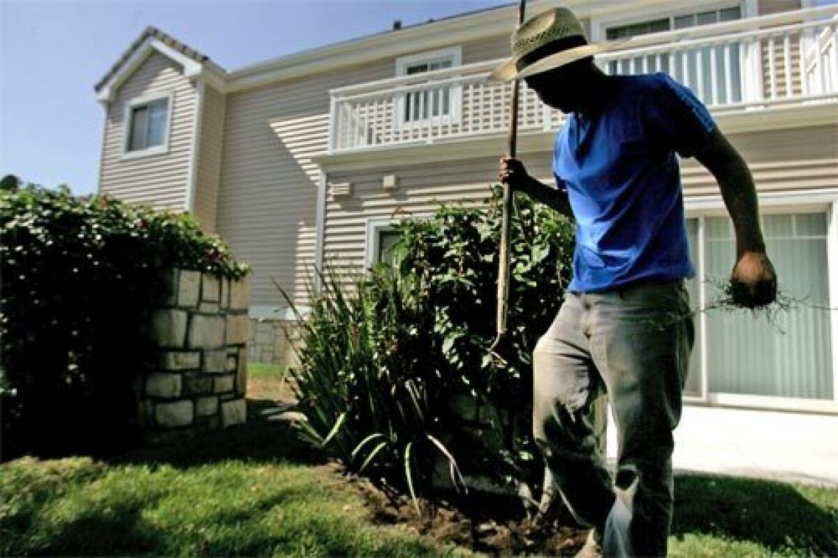 GROUNDED HOPES: Wilbur, a UCLA junior in political science who requested his real name be withheld, works his fathers gardening business and fears his family will be deported.
