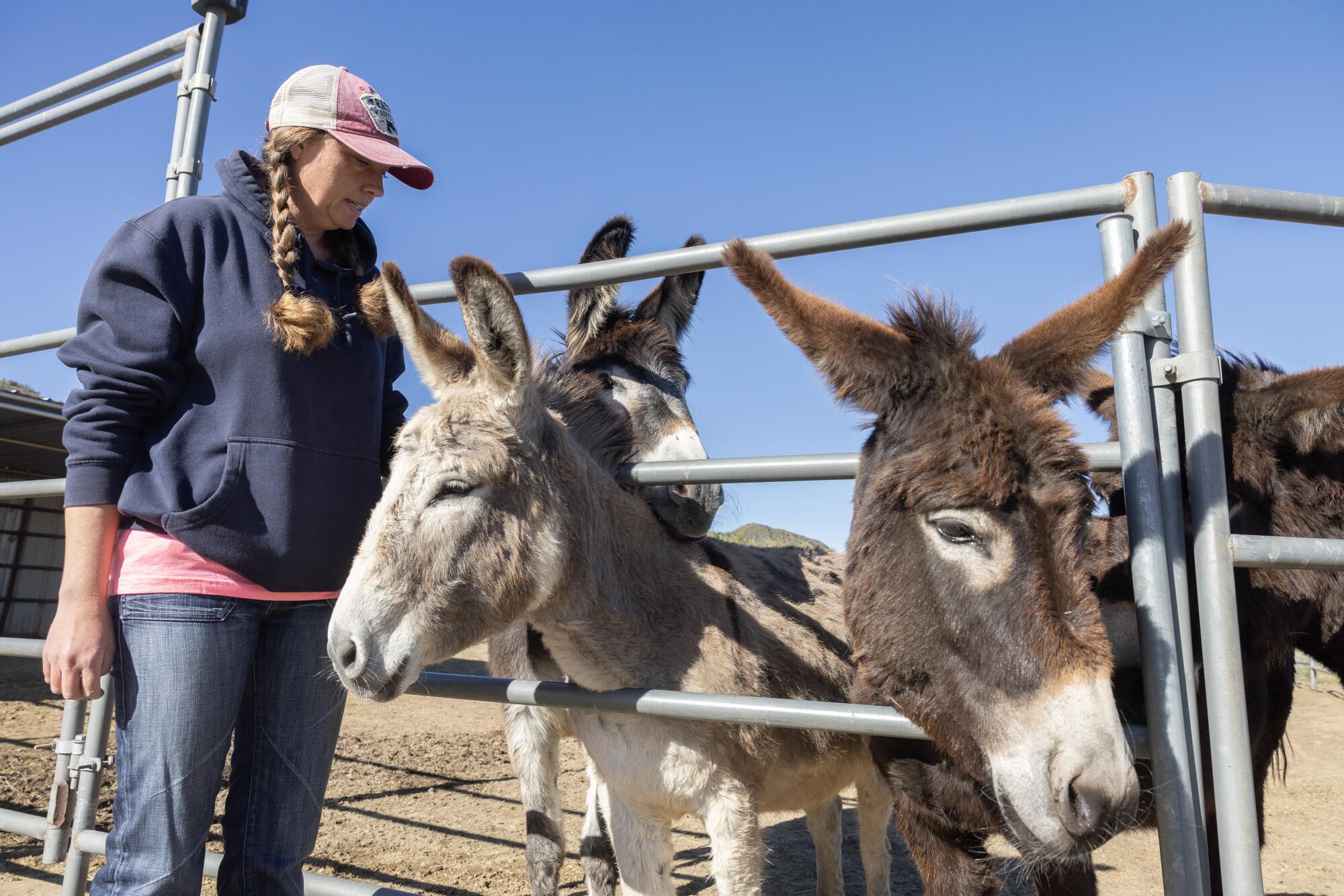 A woman with braided hair, in a pink-and-white cap, dark hoodie and jeans, stands near two fenced donkeys 