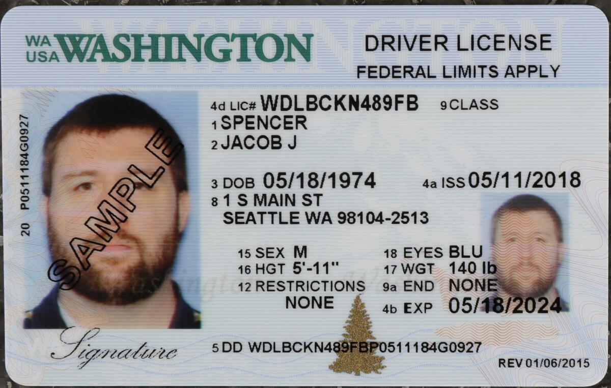 Sample Washington state driver's license