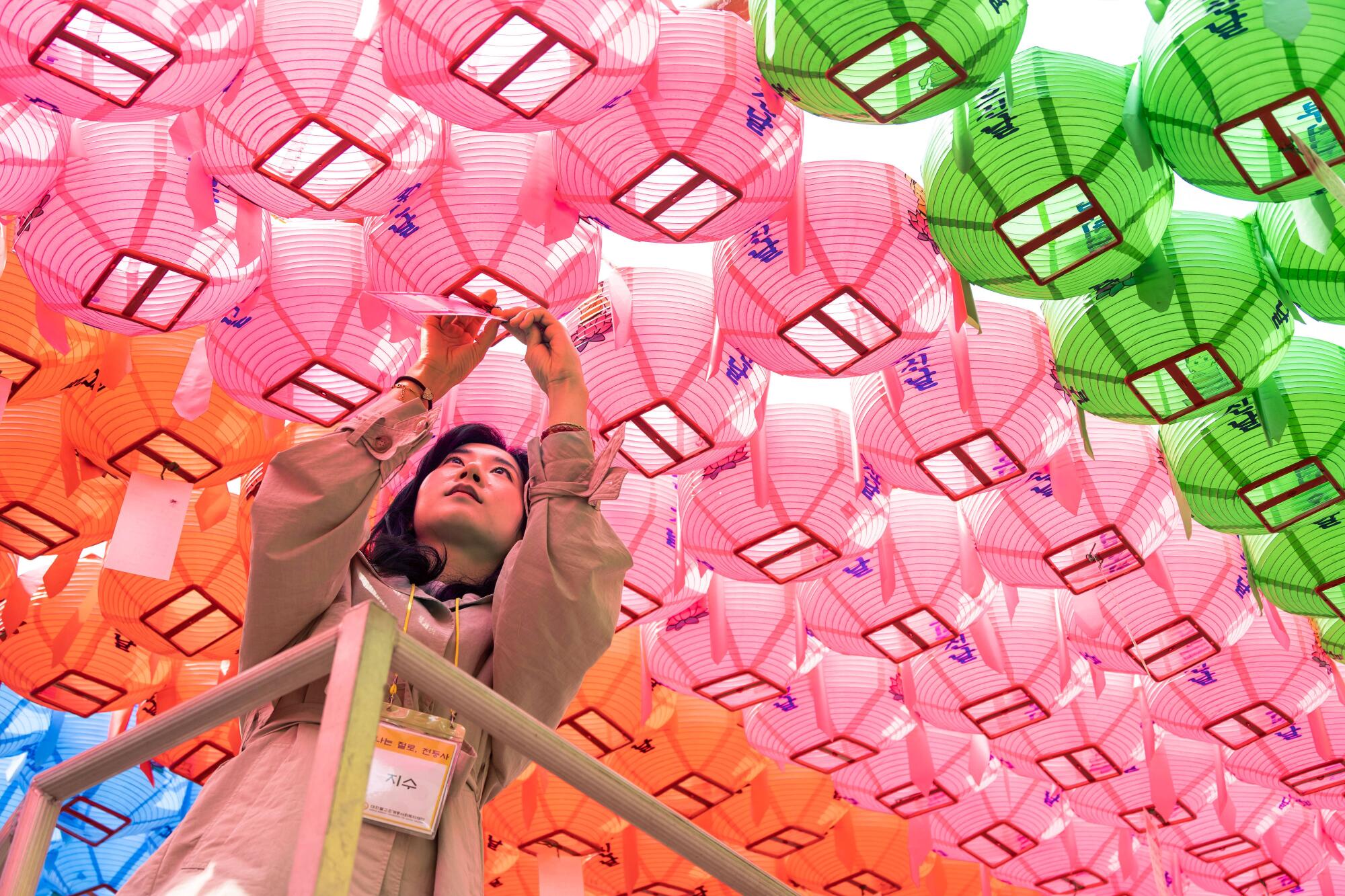 A woman with dark hair reaches up to place a note under one of many pink lanterns, flanked by green and orange ones.