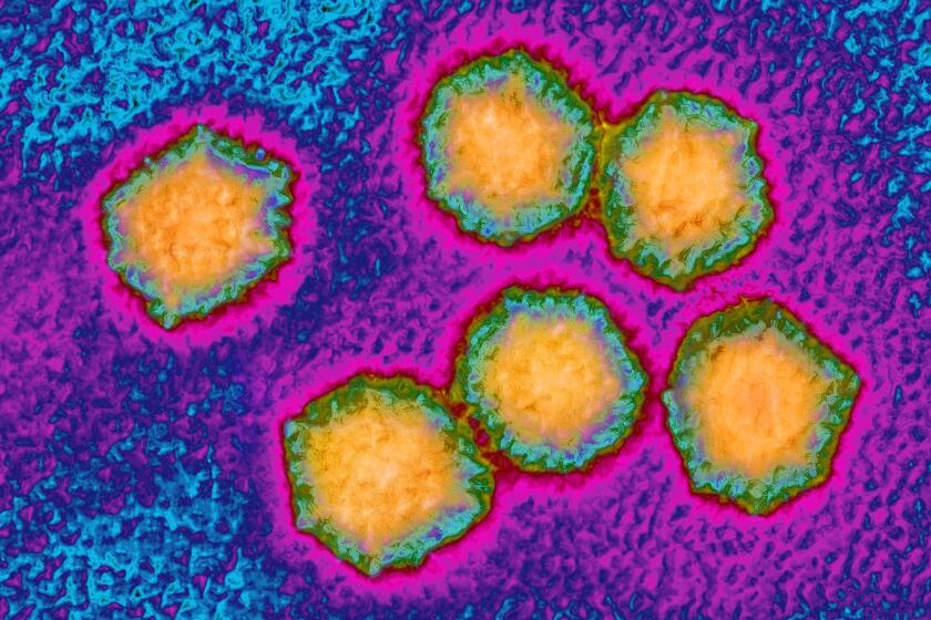 Hepatitis A virus, HAV). Image produced from an image taken with transmission electron microscopy. (Photo by: BSIP/Universal Images Group via Getty Images)