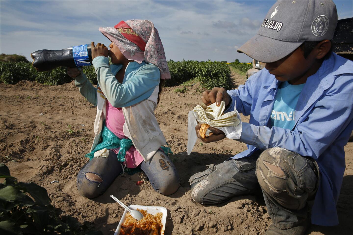 Alejandrina Castillo and her brother Fidel have lunch in a chile pepper field in Teacapan, Sinaloa.
