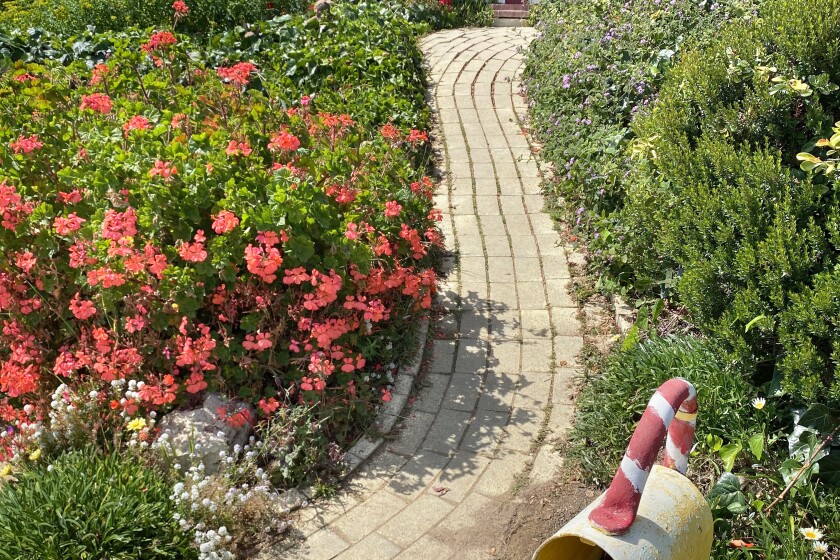 Walkway through the garden