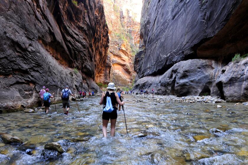 ZION NATIONAL PARK, UTAH AUGUST 5, 2019 -- The Virgin River snakes through The Narrows in Zion National Park. The Narrows is a popular hike in Zion National Park, featuring one of the world's best slot canyon hikes. (Marc Martin / Los Angeles Times)