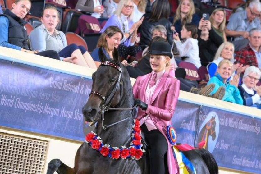 Jordan Canby and Lovey won a title at the 50th Annual Morgan Grand National and World Championship.