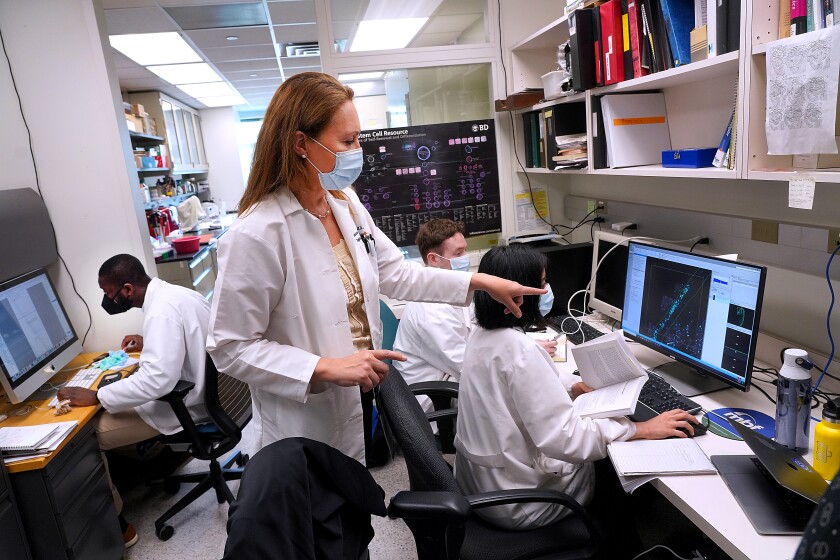 Dr. Maura Boldrini examines an image of brain cells