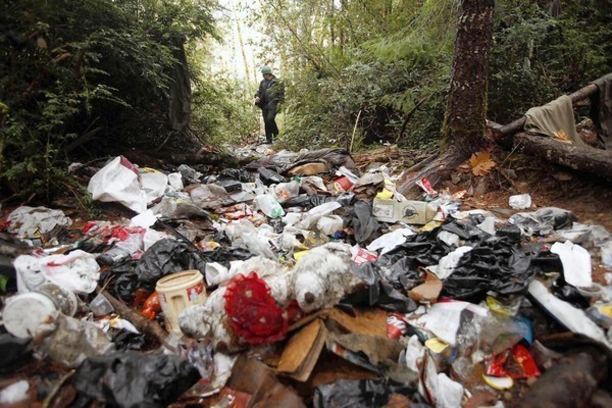 Wildlife technician Aaron Pole surveys a forest trashed by growers. Carbofuran, an insecticide lethal to humans in small doses, is found regularly at large-scale pot farms. Also flowing into the watershed are rodenticides, fungicides, diesel fuel and other pollutants