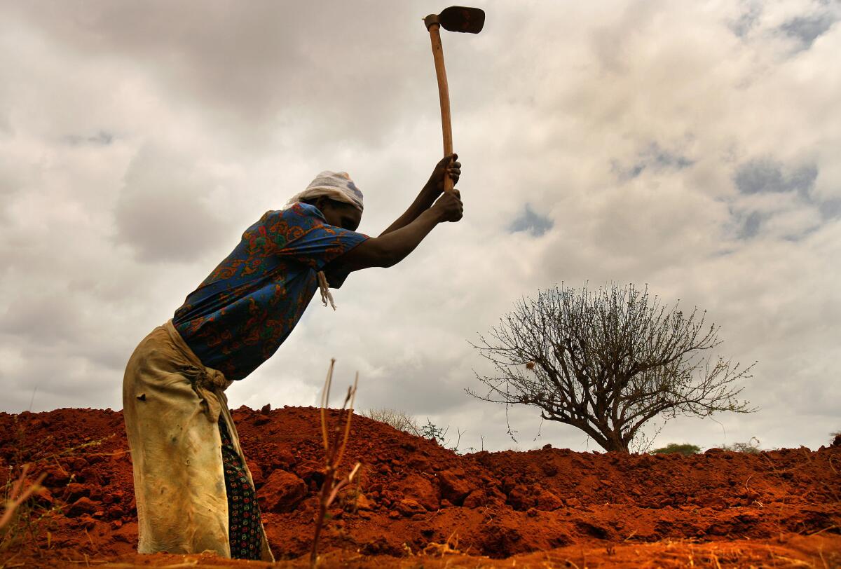 A female farmer swings a hoe at the parched earth in Mwingi district, in Kenya's Eastern province. She was digging a trench to retain rainwater, praying it would come soon. Women do much of the hard labor in Africa.