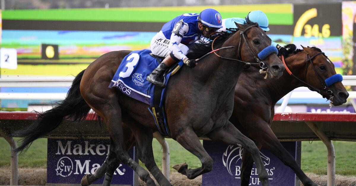 Nysos yang dilatih oleh Bob Baffert pensiun setelah karier pacuan kuda delapan kemenangan. Nysos yang dilatih oleh Bob Baffert pensiun setelah karier pacuan kuda delapan kemenangan.