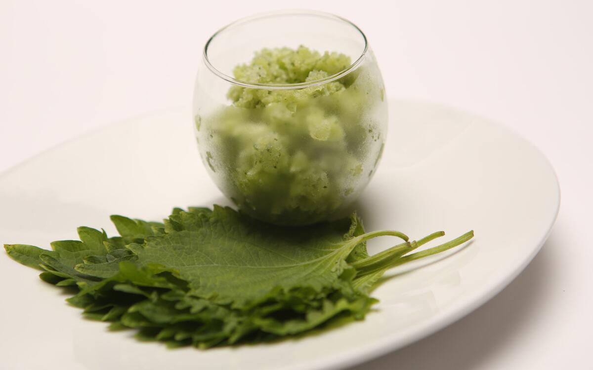 Shiso sorbet