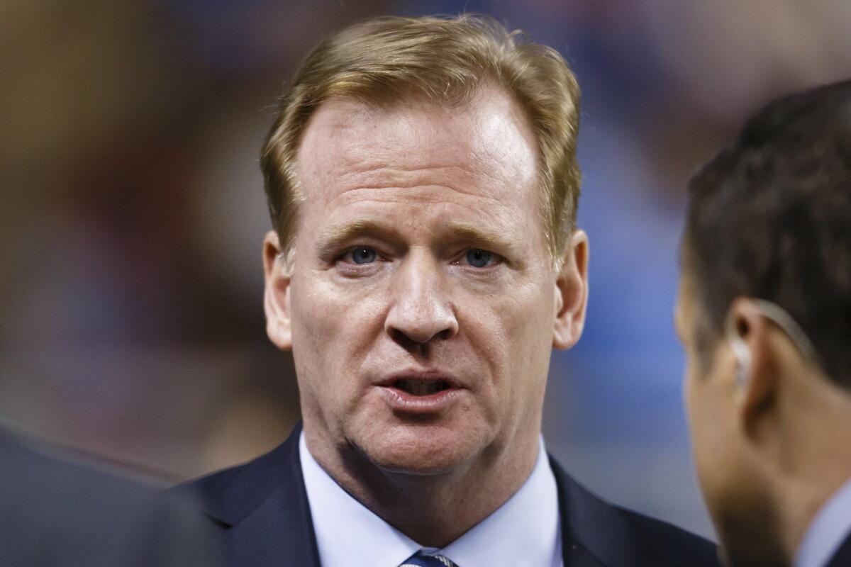 NFL commissioner Roger Goodell before a game between the New York Jets and the Buffalo Bills last year.