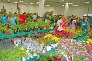 Shoppers browse tables with thousands of plants for sale.