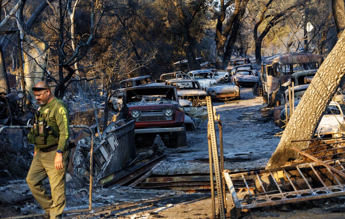 A man in uniform walks away from cars parked near scorched trees 