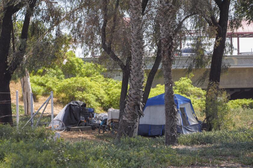 A homeless encampment sits set up next to an off-ramp to the CA-105 freeway Friday, July 26, 2024, in Los Angeles. (AP Photo/Damian Dovarganes)