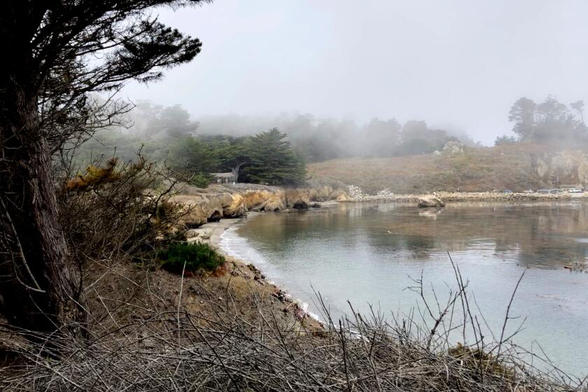 A misty cove at Point Lobos State Park south of Pacific Grove shelters a former whaling cabin, now a museum, that was built by Chinese immigrants in the 1850s. Photo by Tyrone Beason
