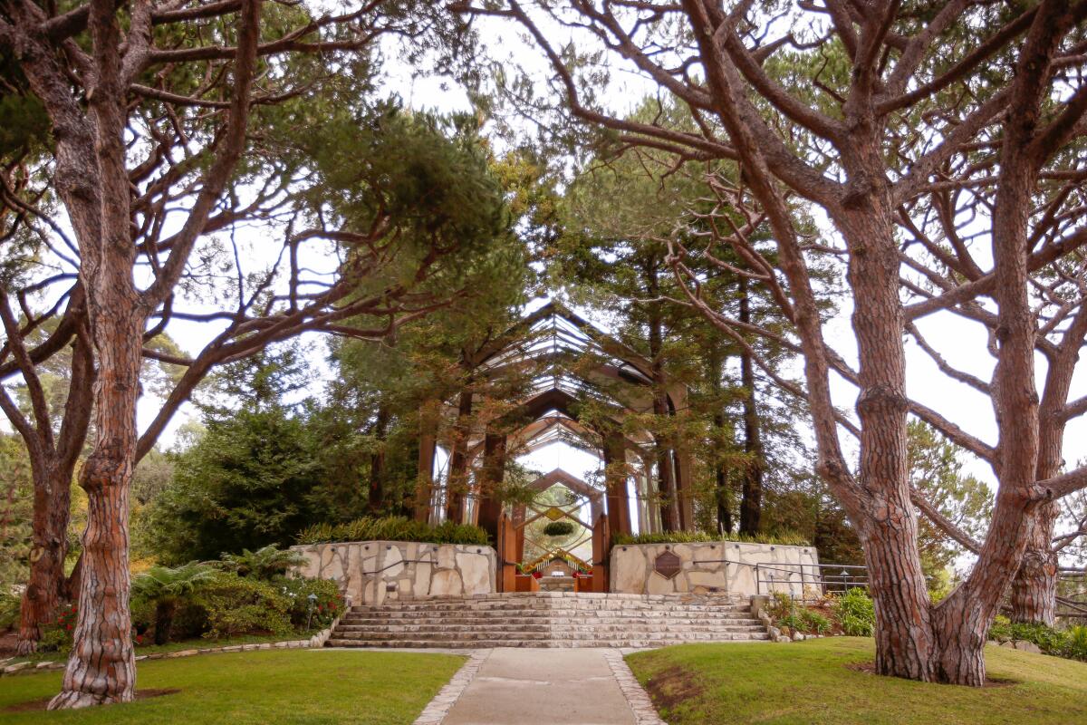 Trees surround a glass and wood church.