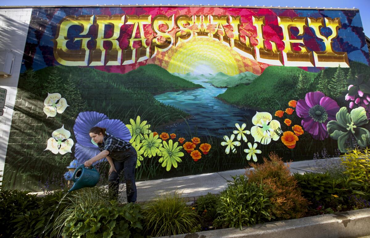 Elizabeth Poston, owner of Living Outdoors Landscapes, waters plants on Main Street in Grass Valley.