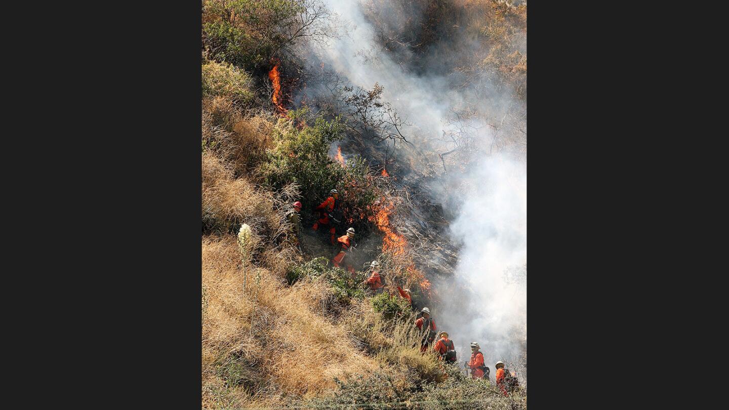 Photo Gallery: Brush fire above Hamline Place in Burbank foothills