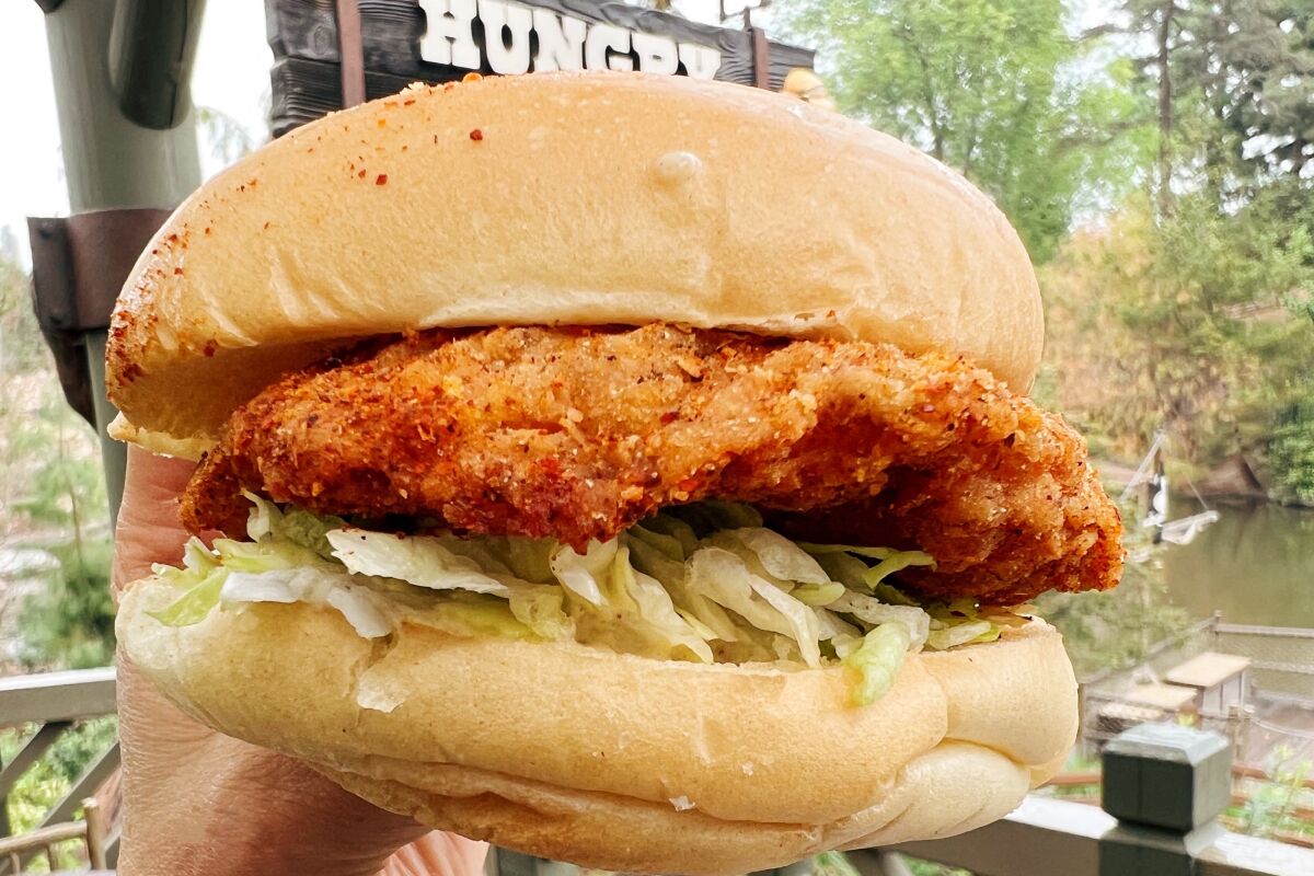 A fried crispy chicken sandwich at Hungry Bear Restaurant in Critter Country at Disneyland