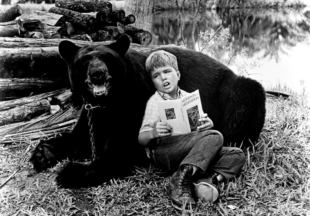 A boy sits in the grass reading a book while leaning against a bear