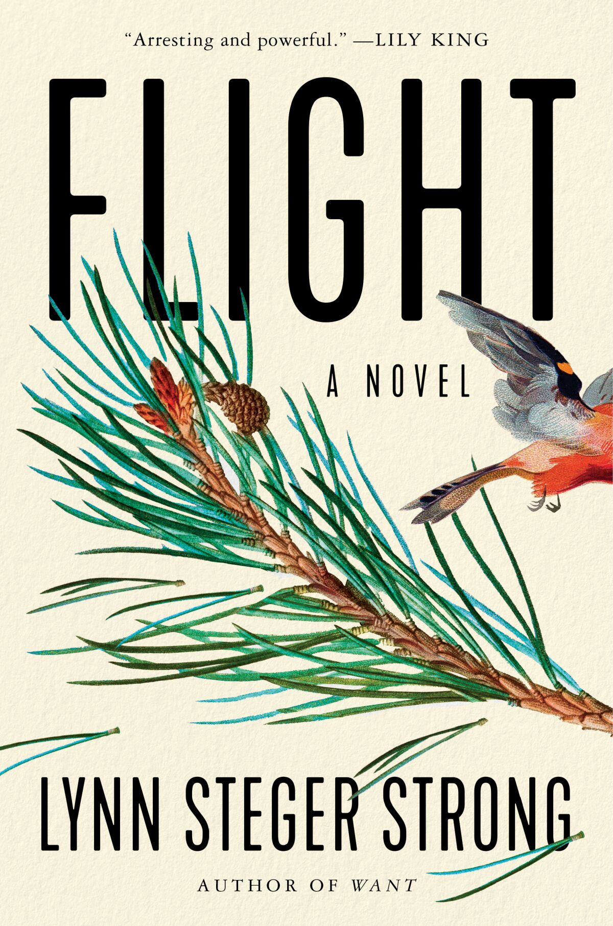 book review flight by lynn steger strong