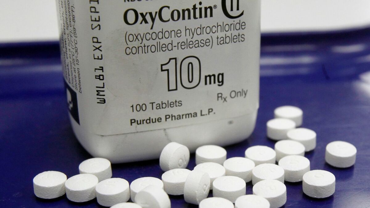 Two-thirds of last year's drug deaths — about 42,000 — involved opioids, a category that includes prescription pain pills like OxyContin, and fentanyl, according to a new federal report.