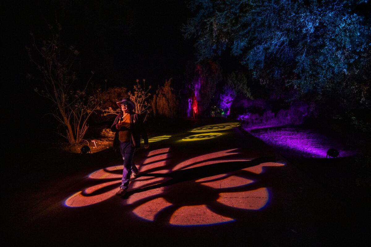 Lightscape Holiday Light Show en Los Angeles Arboretum de Arcadia.