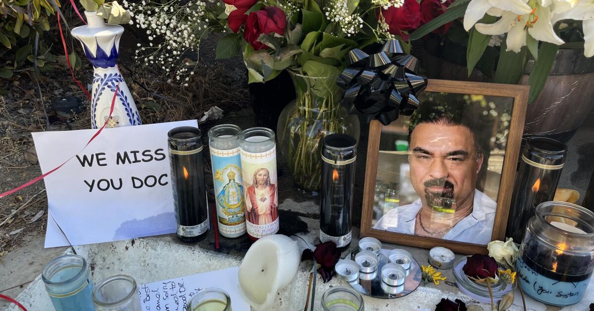 Months before his shooting death, Woodland Hills doctor was beaten Months before his shooting death, Woodland Hills doctor was beaten