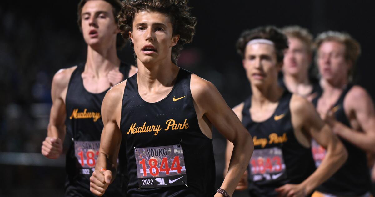 Runners rev up in high school cross country championship meets