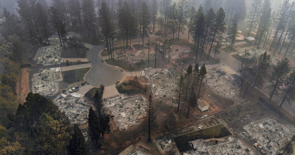 The Camp fire burned homes but left trees standing. The science behind ...
