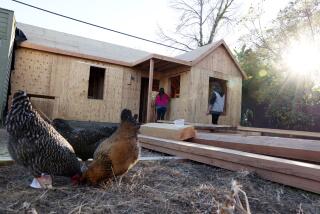 Katherine Guevara and David Guevara Rosillo walk to a rental unit under construction as part of the Backyard Homes Project. 