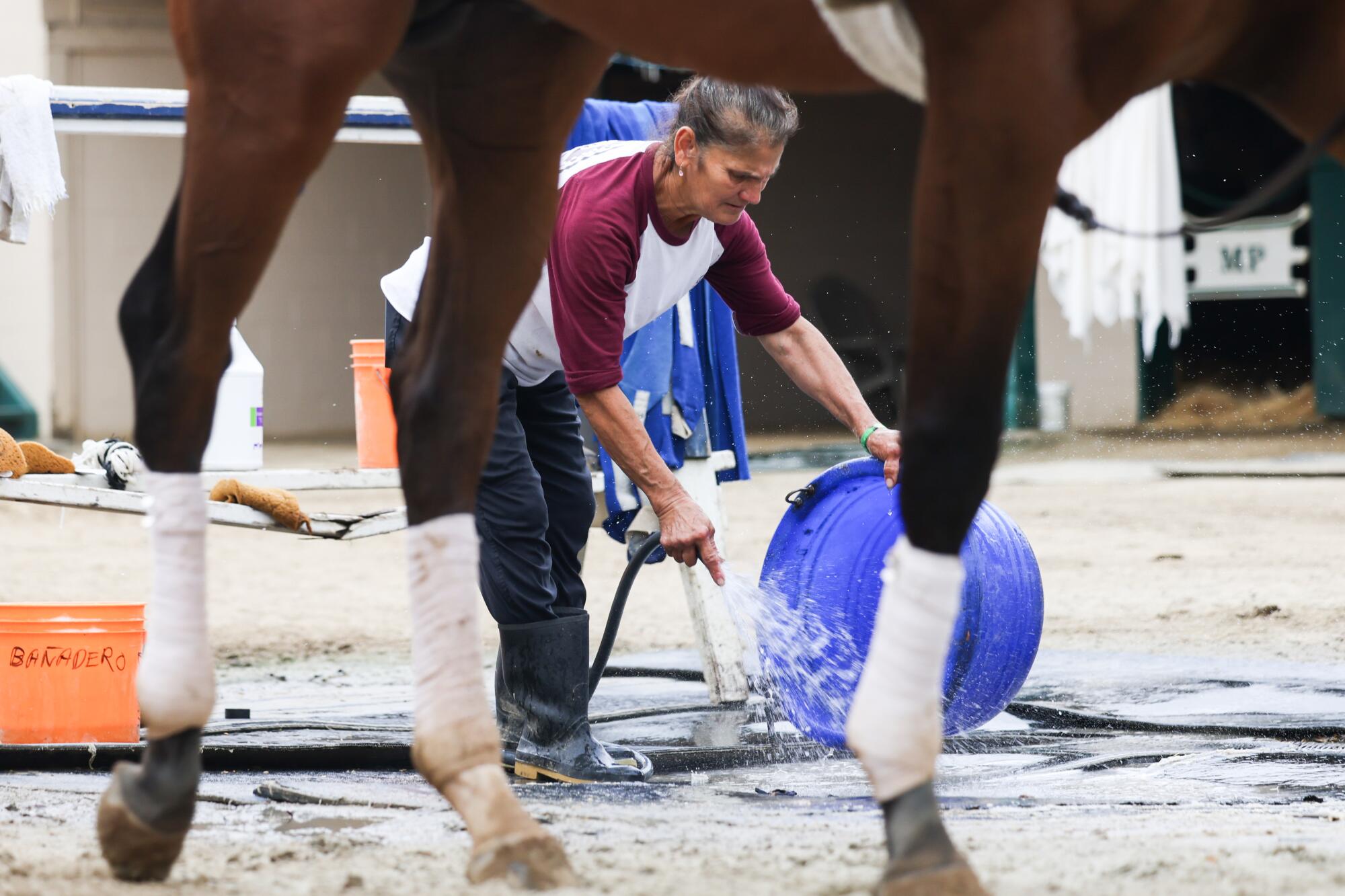Maria Perez washes out buckets used to bathe the horses on the backstretch of Del Mar Racetrack.