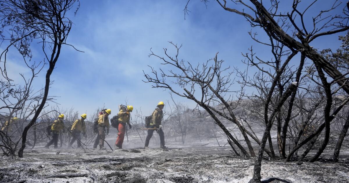 Arsonists in California burn down roofs and have to evacuate for miles