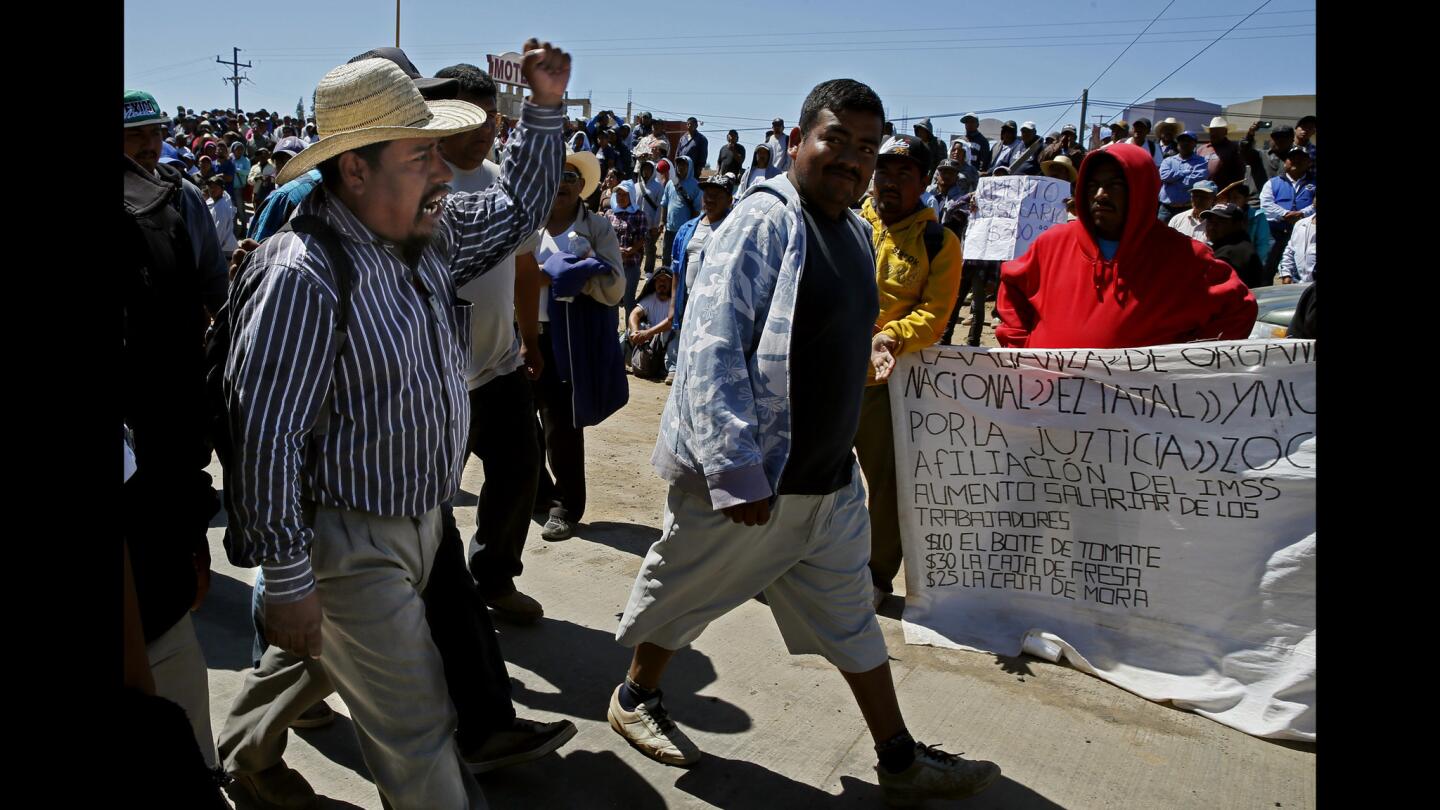 Baja California farm workers