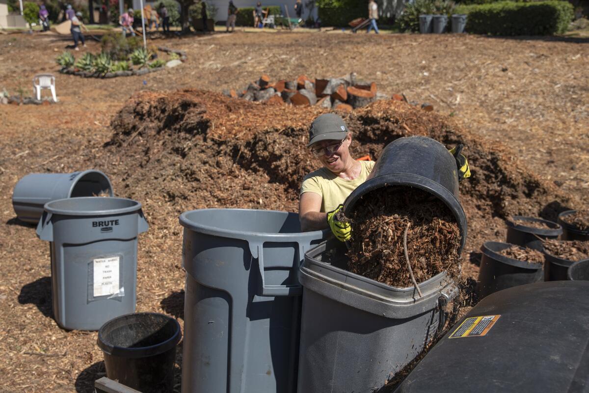 A woman dumps a bin of wood chip mulch into a larger bin.