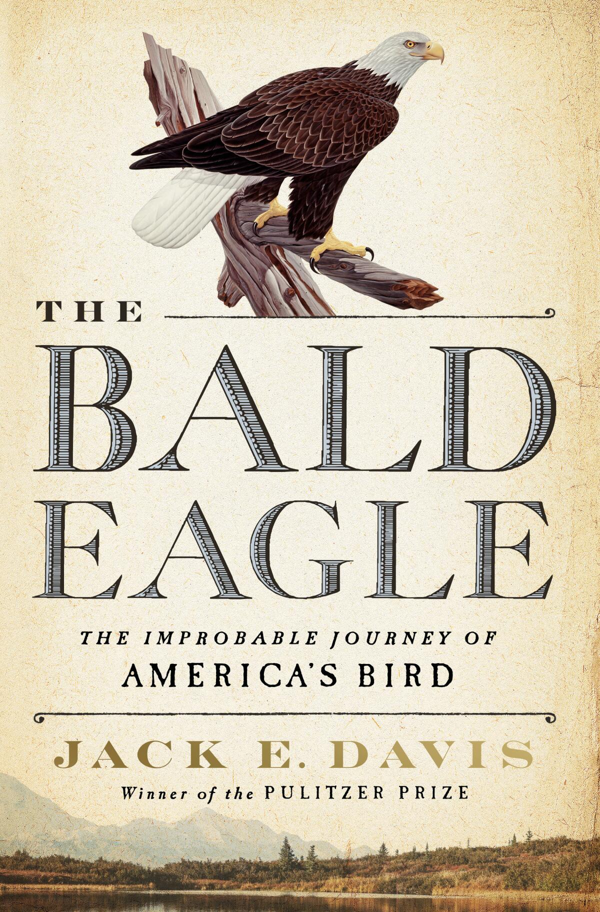 "The Bald Eagle" by Jack. E Davis