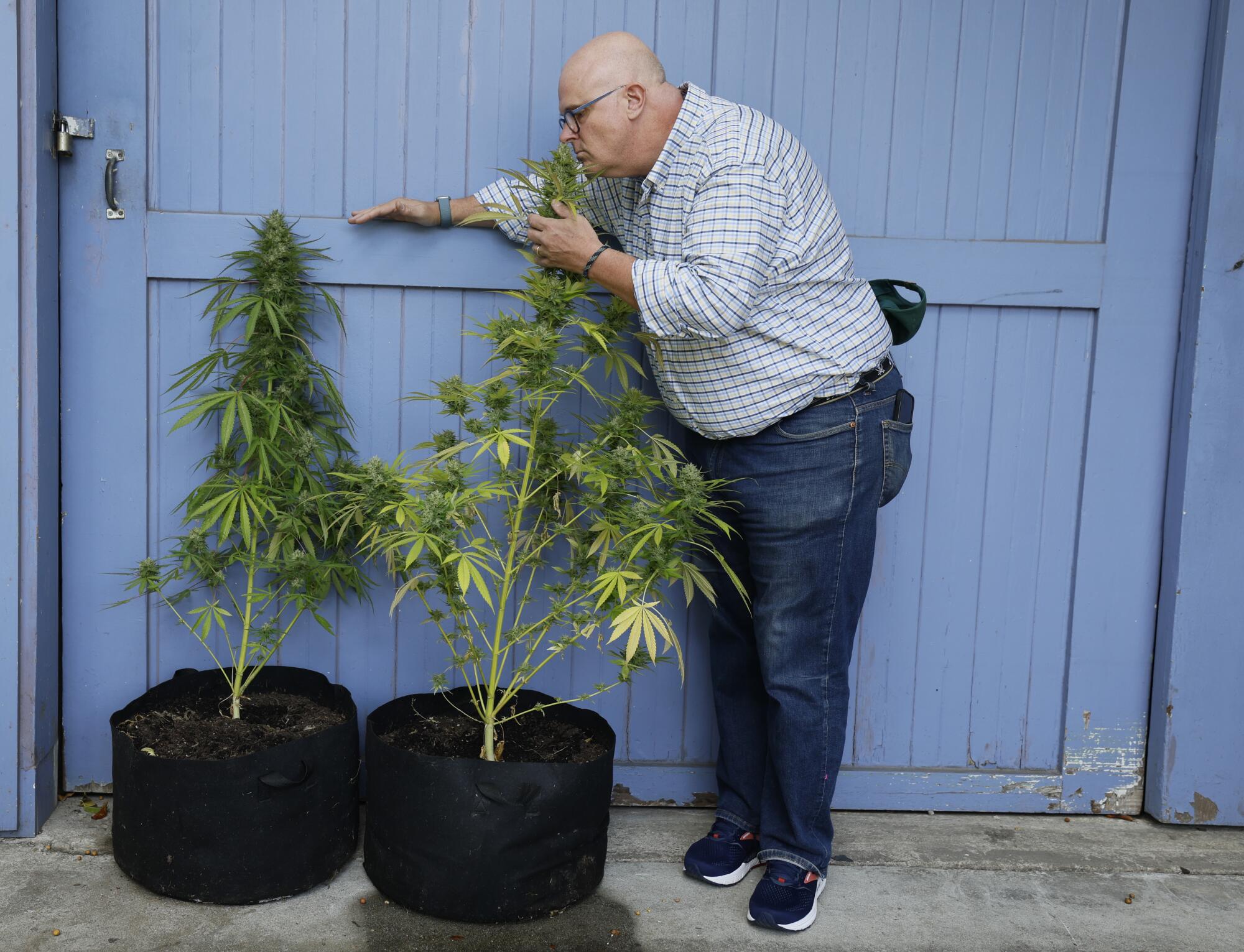 Un hombre huele una planta en maceta.