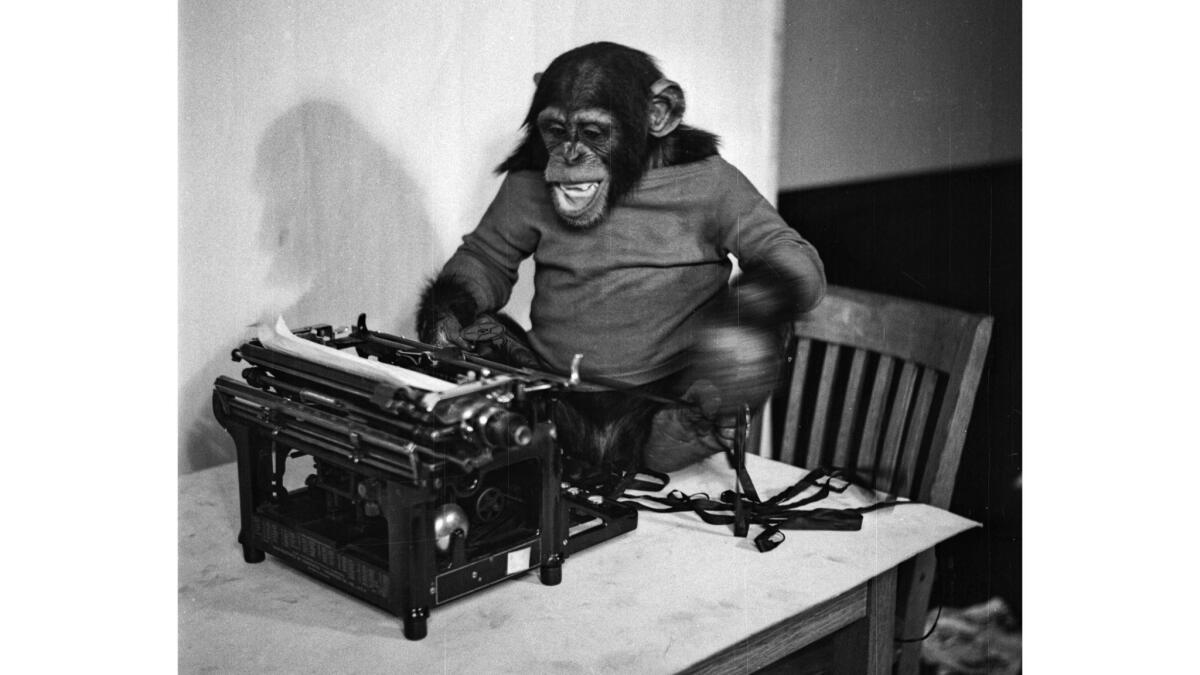 Jan. 18, 1936: A chimpanzee named Shorty plays with a typewriter. This is an unpublished frame from a photo series that appeared in the Feb. 2, 1936, Los Angeles Times.