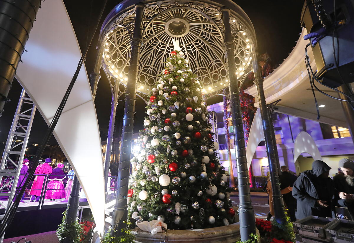 Balboa Bay Resort lights up the night with tree-lighting ceremony and ...