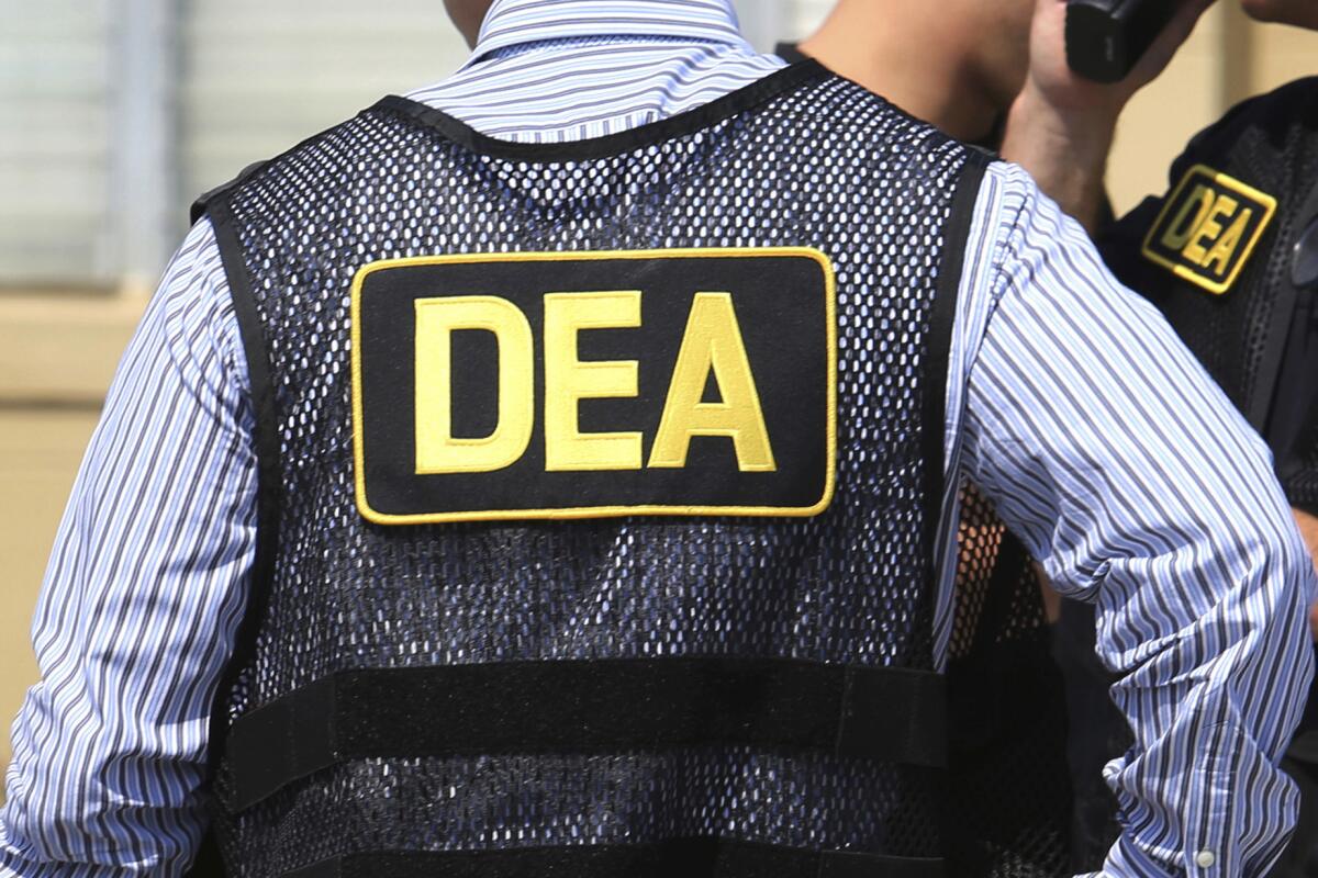 DEA agents wearing vests and DEA patches. 