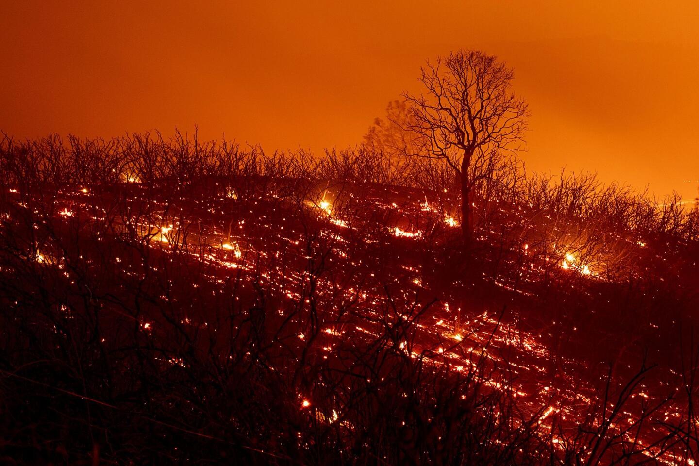 Embers smoulder along a hillside after the Ranch Fire, part of the Mendocino Complex Fire, burned though the area near Clearlake Oaks, California, on August 5, 2018. - Several thousand people have been evacuated as various fires swept across the state, although some have been given permission in recent days to return to their homes.