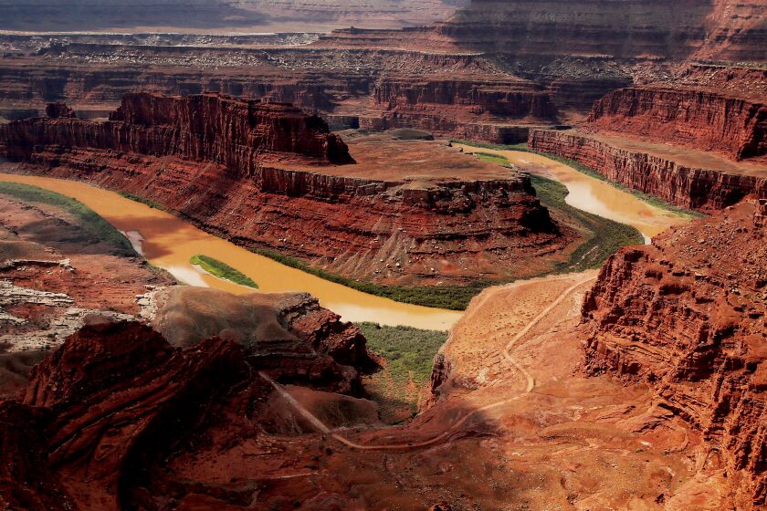 MOAB, UTAH - MAY 16, 2022. The muddy waters of the Colorado River course around Canyonlands National Park as seen from Dead Horse Point near Moab. Ancestral Puebloans historically inhabited the area, which is rich in fauna, including black bears, mountain lions and a variety of hawks. A portion of the park contains about 62 acres of the last undisturbed natural grassland in the west. (Luis Sinco / Los Angeles Times)