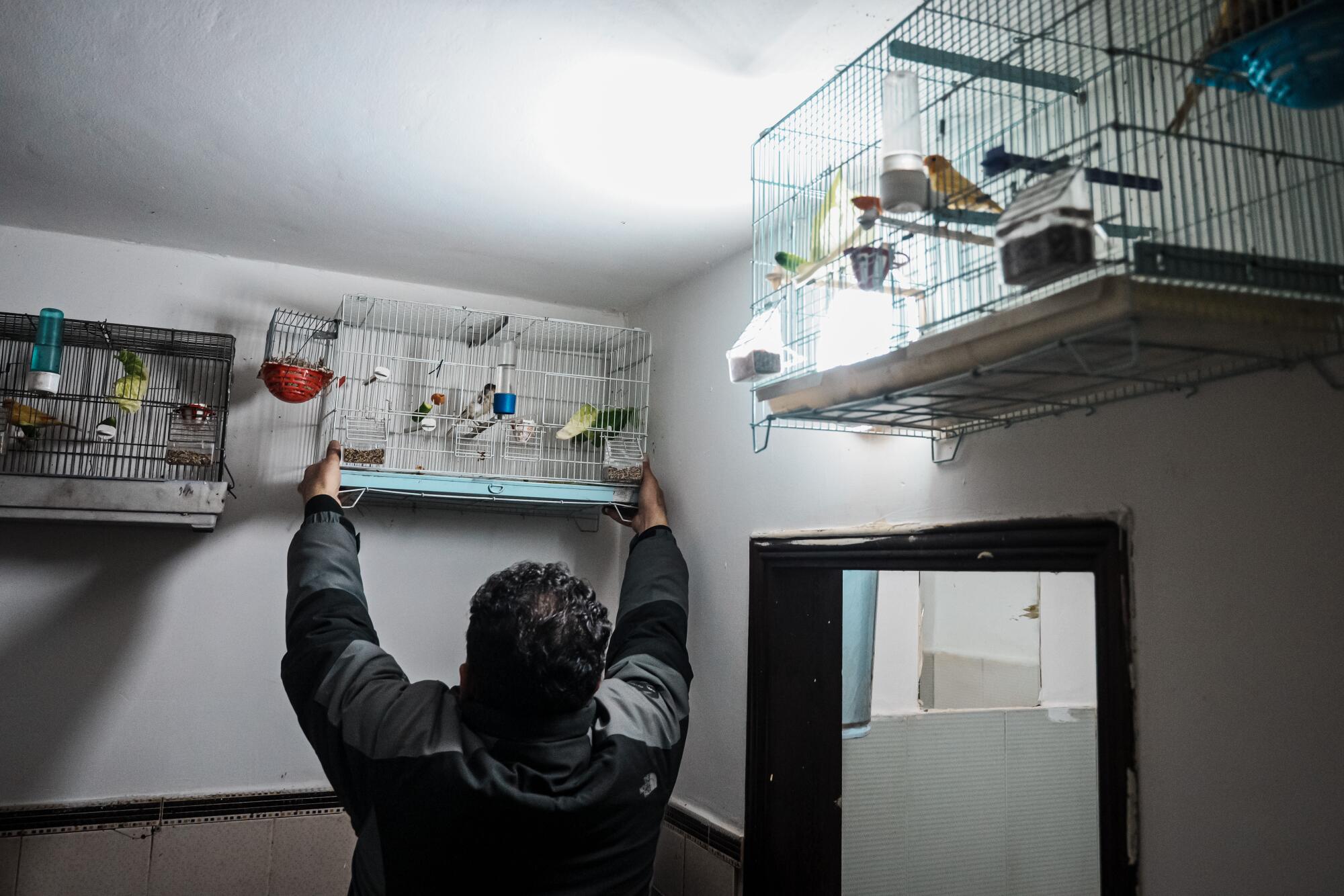 Ahmad Abu Alezz cares for songbirds in several cages high on the wall of his house.