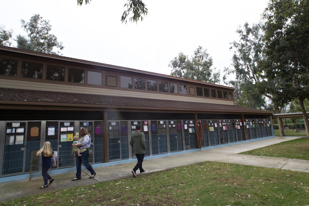 Visitors at the Irvine Animal Care Center in January.