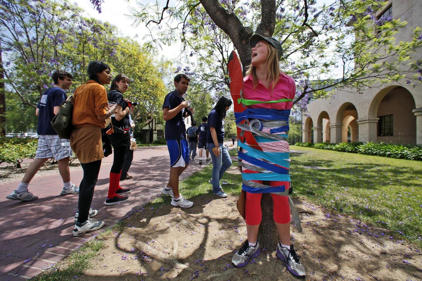 As part of a "Ditch Day" prank, underclassmen duct-tape senior Carly Bond, 22, to a tree.