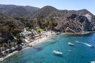 Catalina Island, CA - June 25: An aerial view of boats moored at Descanso Beach Club, which features Avalon's only beach side restaurant and bar Friday, June 25, 2021 in Catalina Island, CA. (Allen J. Schaben / Los Angeles Times)