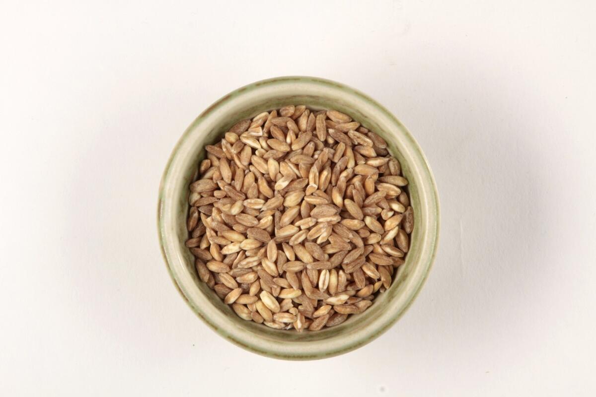 Farro is chewy and earthy when cooked.